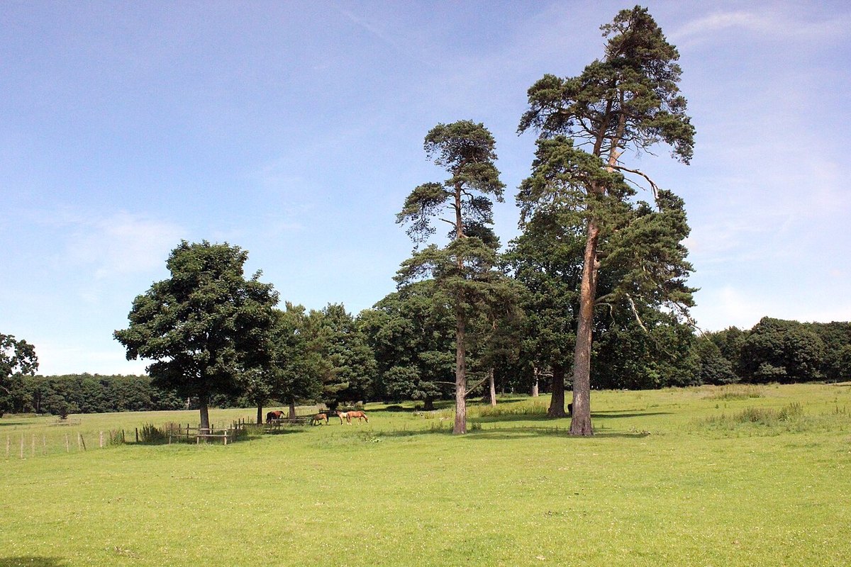 Bodrhyddan Hall, further view