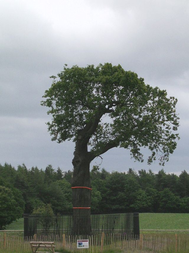 Boscobel House and the Royal Oak