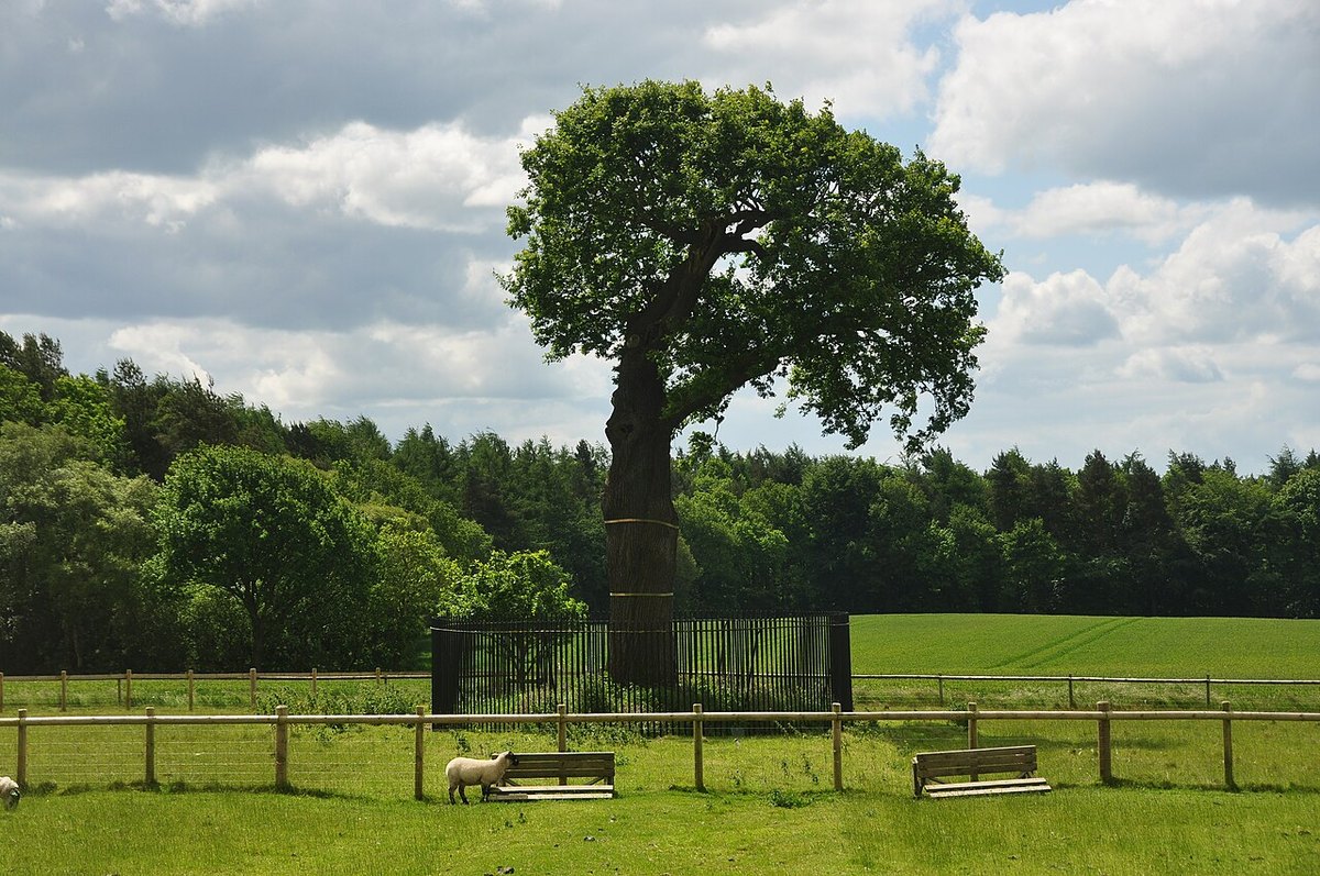 Boscobel House and the Royal Oak, further view