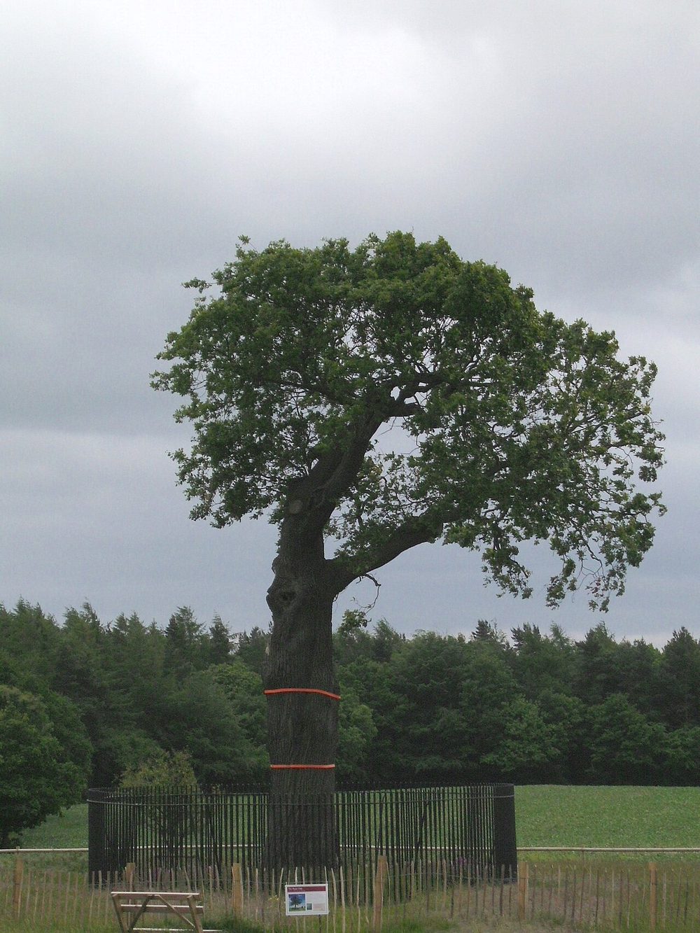 Boscobel House and the Royal Oak