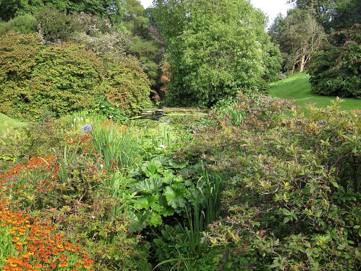 Coleton Fishacre, further view