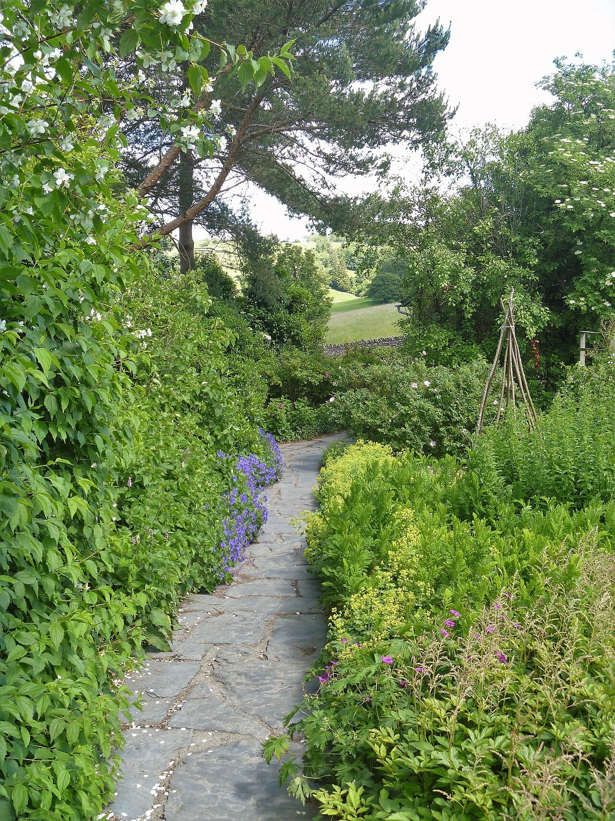 Hill Top, further view
