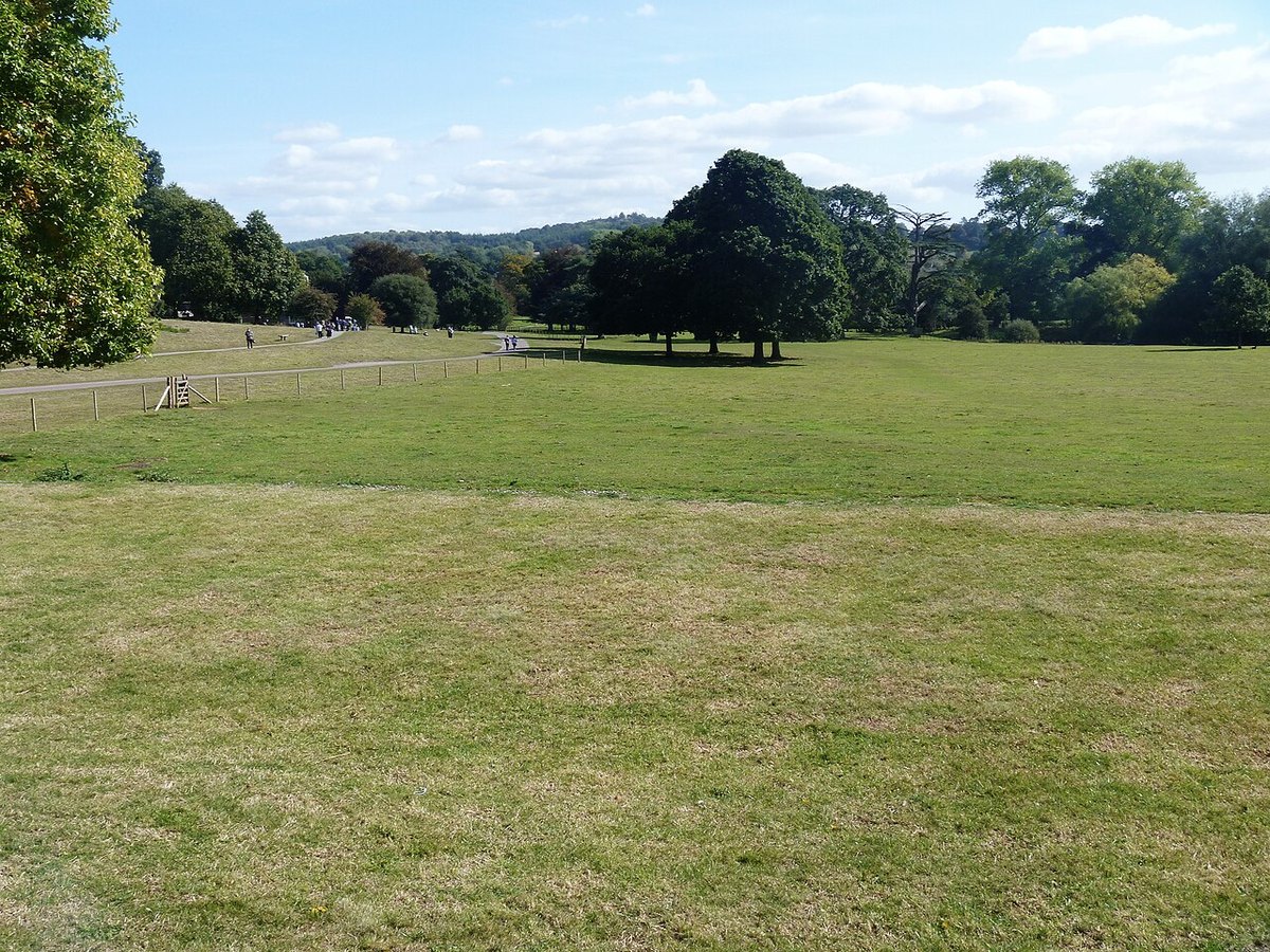 Killerton, further view
