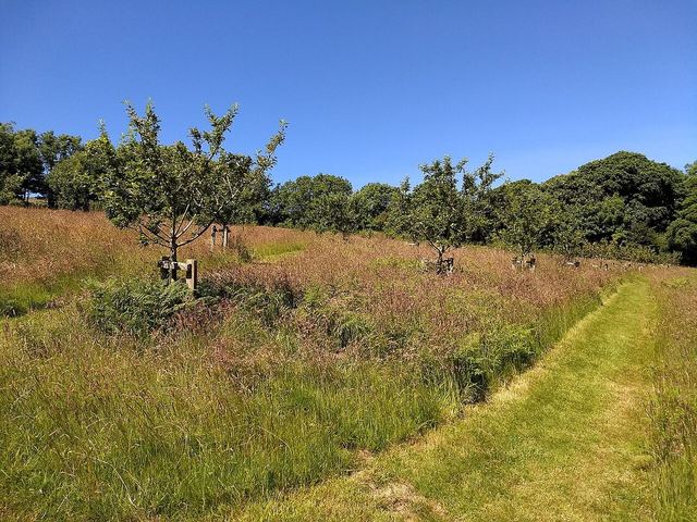 Plas yn Rhiw