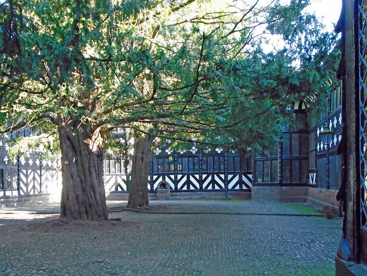 Speke Hall, further view