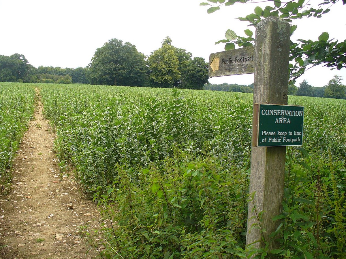 Stansted Park, further view